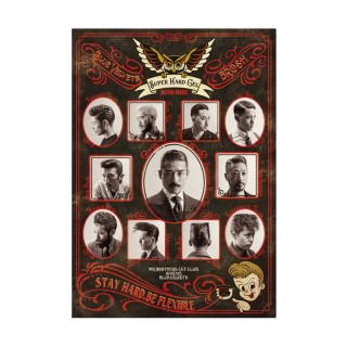 Brosh Blue Velvet's POSTER