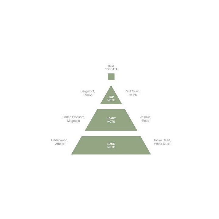 Perfume Tilia Cordata Acca Kappa 100ml
