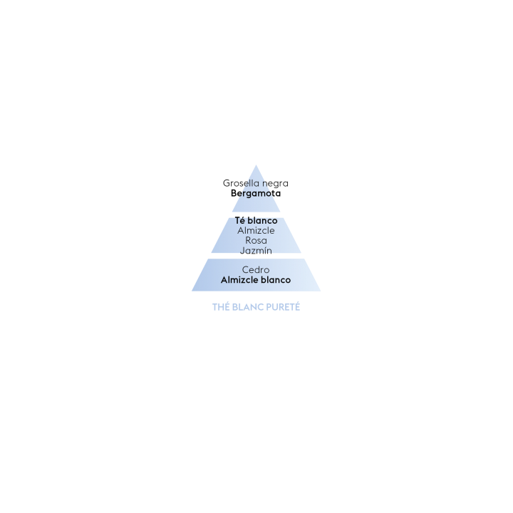 Lámpara Colección Institucional Gris + Perfume Thé Blanc Pureté 250ml Maison Berger Paris 1898