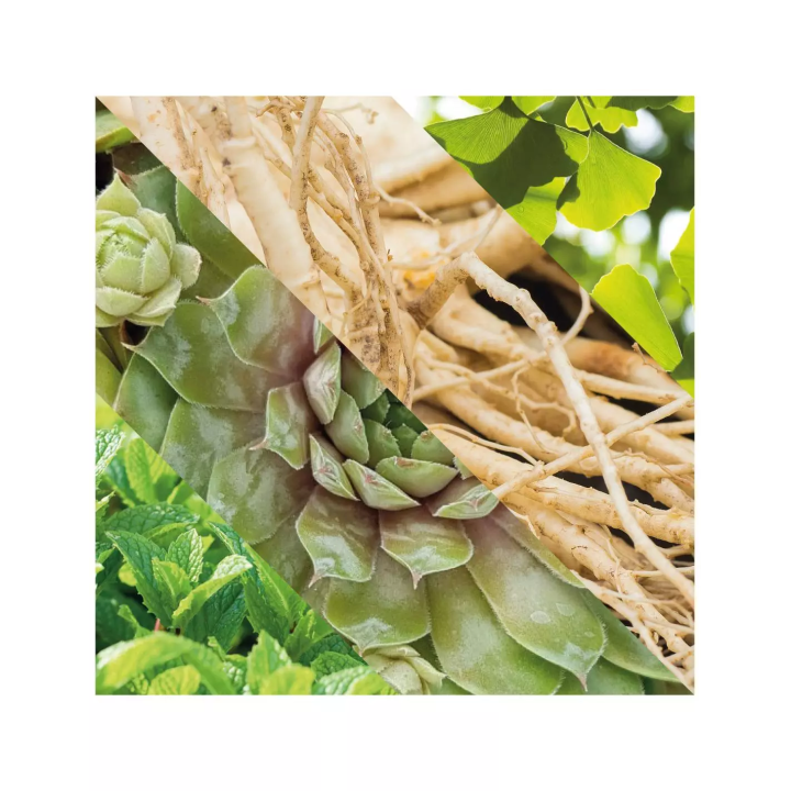 Gel de Ducha para Cuerpo, Cabello y Barba Plisson 125ml