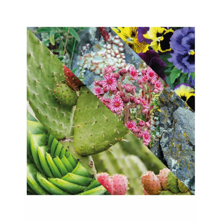 Bálsamo After Shave Natural Plisson 100ml