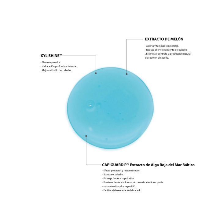 Champú Uso Frecuente Hey Joe 250ml