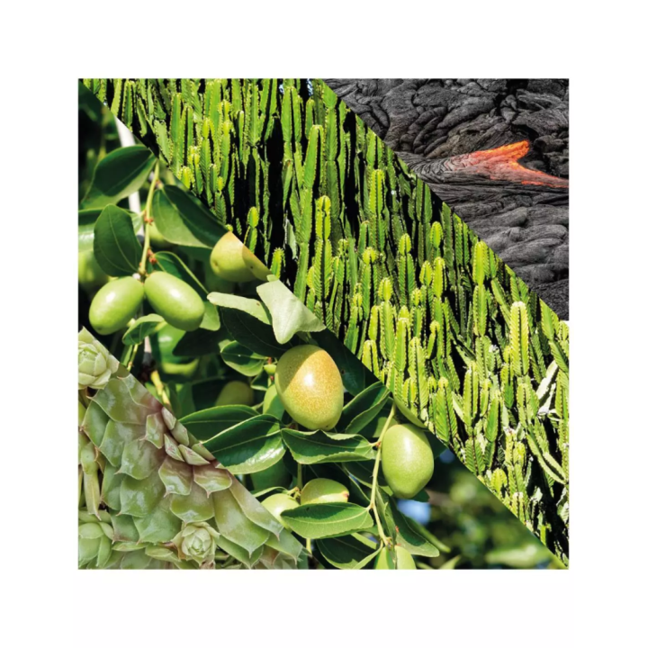 Exfoliante Facial Energizante Plisson