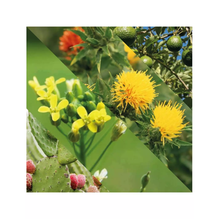 Aceite para Barba Plisson