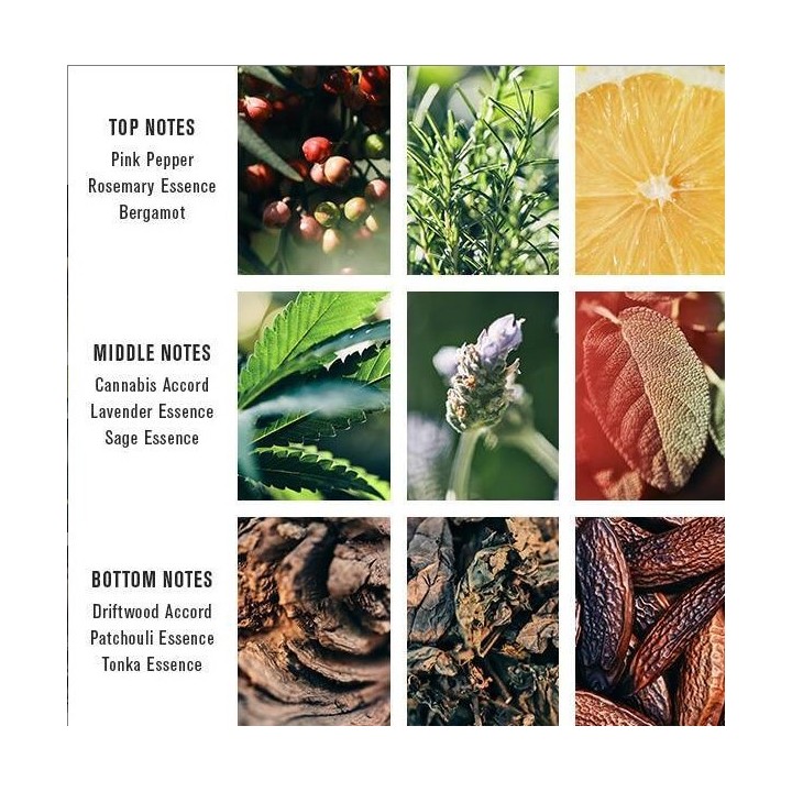 Perfume Pacific Cannabis Baxter of California 100 ml