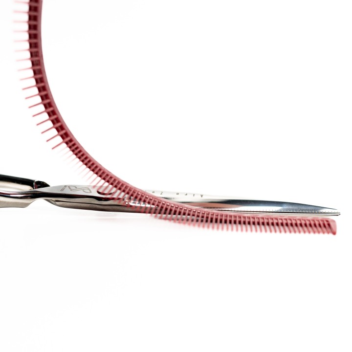 Hongo nº201 White Comb